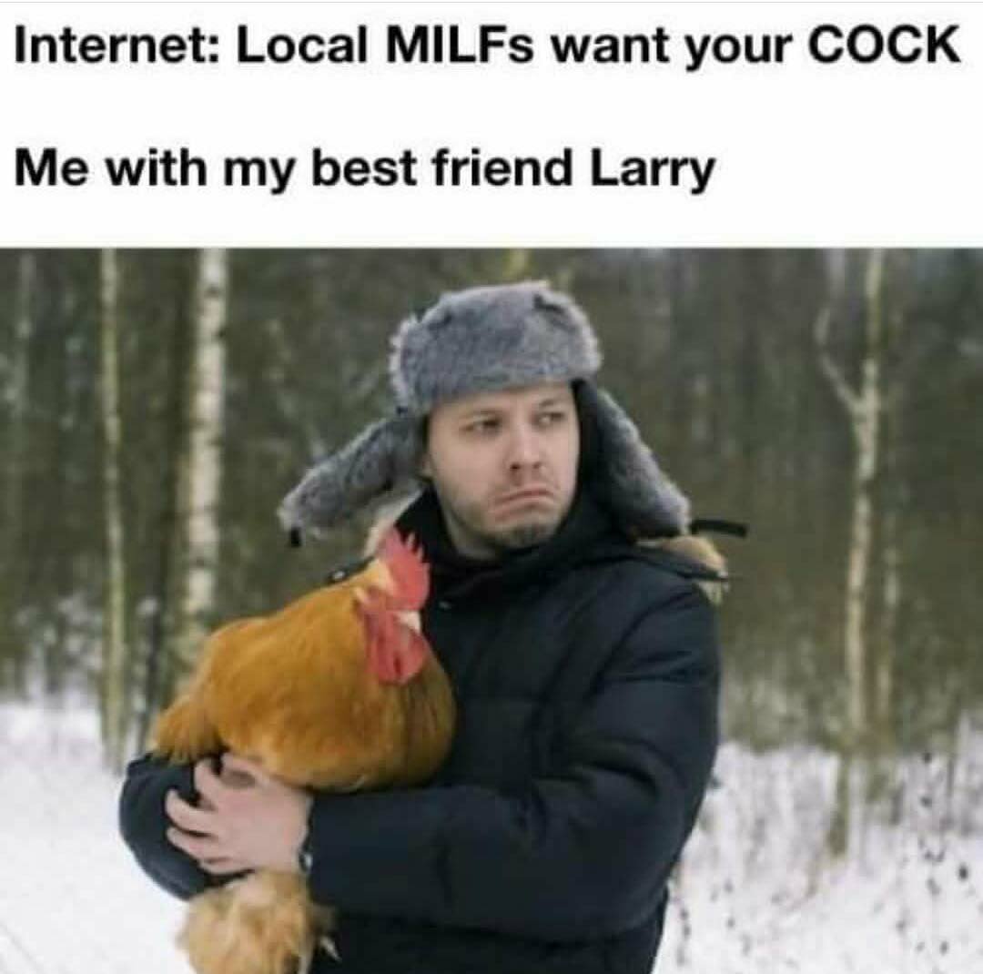 Funny Chicken memes