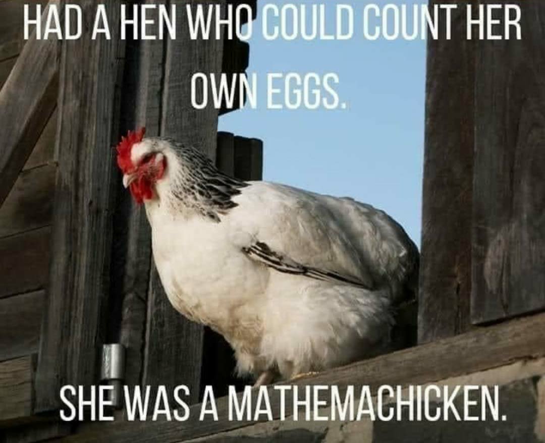 Funny Chicken memes